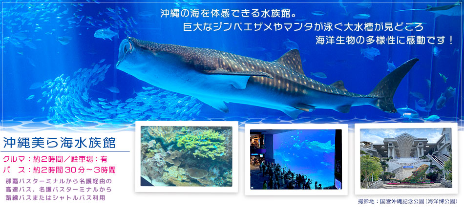 沖縄美ら海水族館